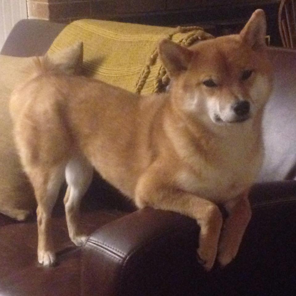 九游下载中心-_航海运动全球巡演：浪花中的速度与激情_，航海浪漫